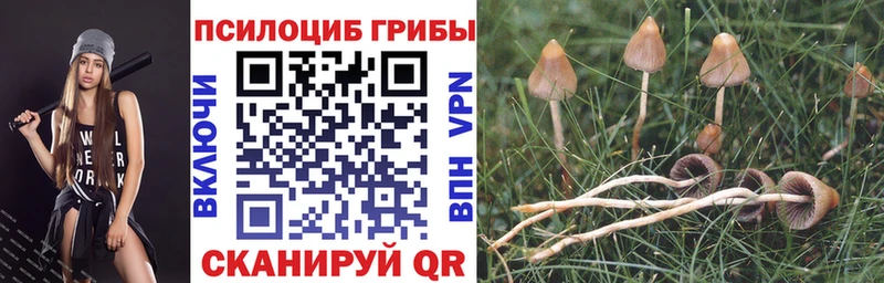 Псилоцибиновые грибы прущие грибы  Купить  Волосово 